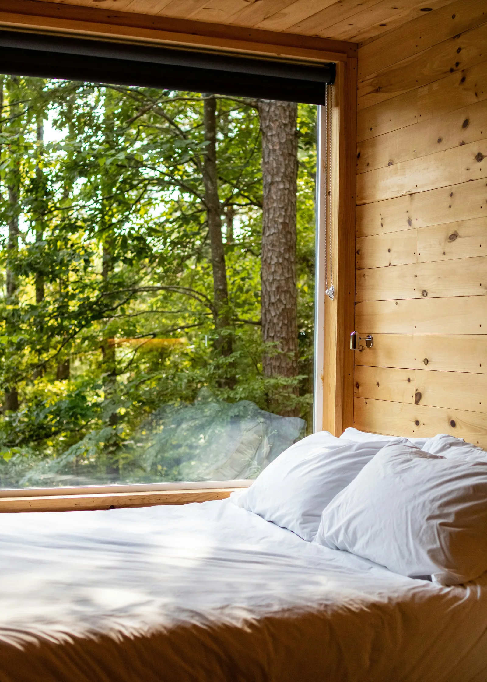 A bright timber cabin bedroom with pillows beside a large forest window