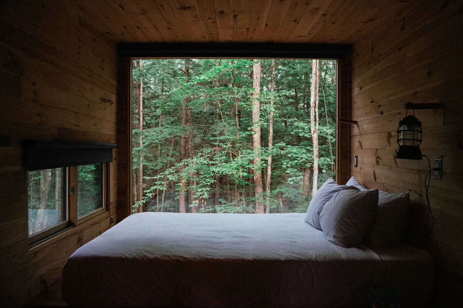 A timber cabin bedroom looking out to dense green forest