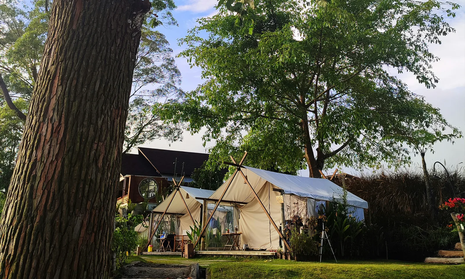 Canvas glamping tents set among tall trees and garden greenery