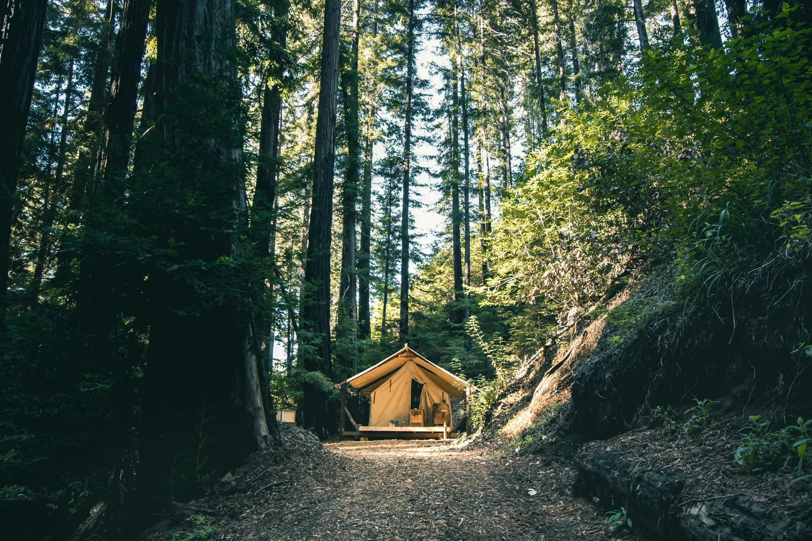 A canvas tent reached by a forest pathway